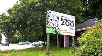 重庆动物园警示牌与游客互动场景