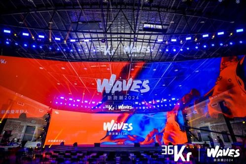 WAVES新浪潮2025大会现场观众互动