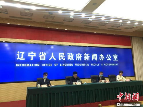 爱尔兰政府召开新闻发布会现场