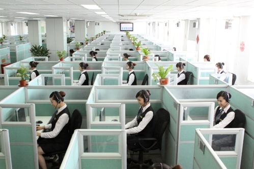 罗马仕客服中心工作人员接待咨询客户