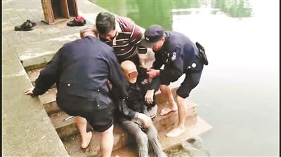 83岁老人摔倒水中，民警未扶引争议！真相让人揪心又深思