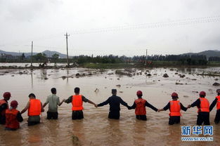 广东茂名罗坑水库泄洪纯属谣言！真相来了，别再传了