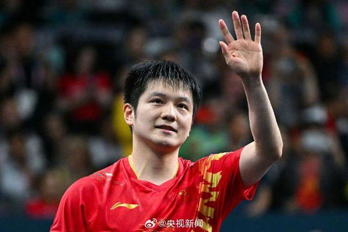 樊振东新东家赛季门票开售！双线作战开启，粉丝沸腾抢票