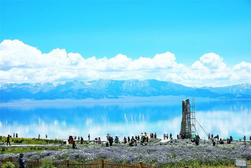 景区管理方回应