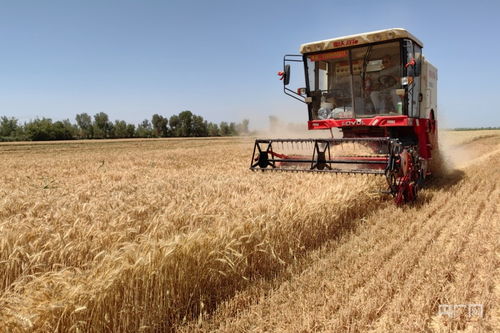 “三夏”生产一线观察｜科技范十足，我在田间见证农业新质生产力的崛起