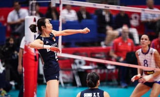 球迷为中国女排欢呼