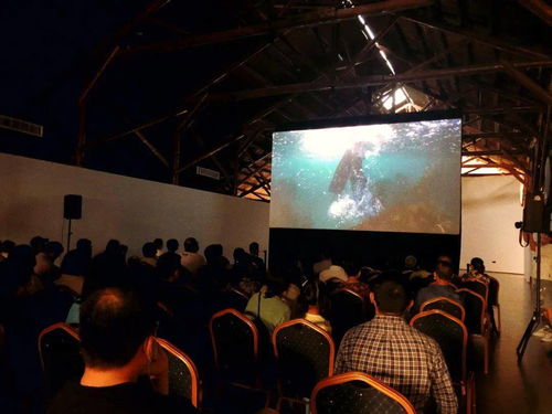 我亲历的上海国际电影节：从纪录片推荐到《封神》出海，每一场光影盛宴都值得回味