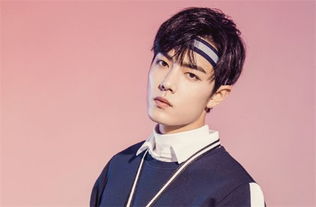 陈赫贴脸开大王勉，抖音热搜背后的真实故事曝光！