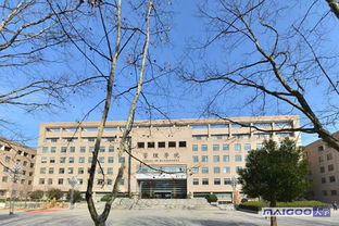 华中科技大学获神秘捐赠1.8亿，背后真相竟与科技未来息息相关？