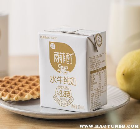 茉莉奶白咸酪乳新品特写