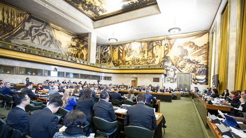 日内瓦外交会议现场模拟图