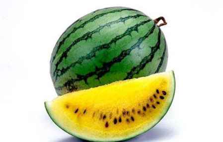 日本黑皮西瓜