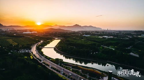 麦田里的星光见证粒粒皆辛苦：我在抖音记录下的农民夜耕故事