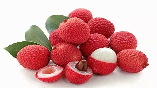 全球每三颗荔枝就有一颗来自广东，我亲历的“荔乡”奇幻之旅