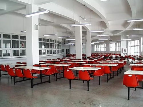 震惊！中学总务处主任侵吞学生伙食费，法院判了！