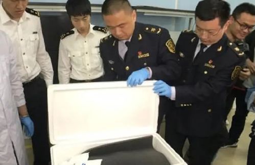 男子带75万元现金出境被查获，背后真相令人咋舌！