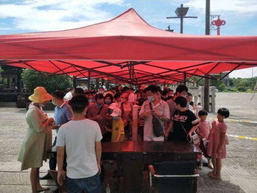 天目湖风景区门口游客排队场景