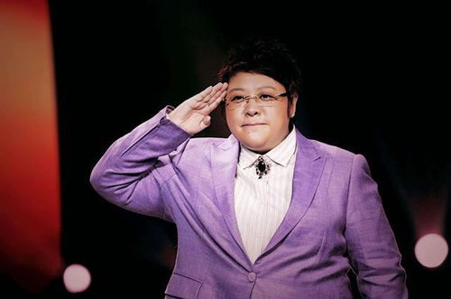 韩红在后台接受采访