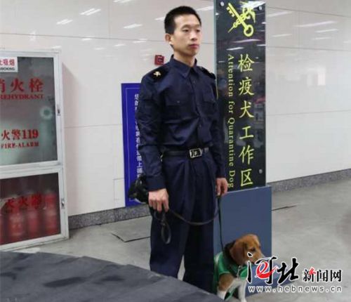 海关人员在检查旅客行李中发现大量现金