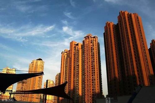 一群年轻人站在城市天台仰望星空