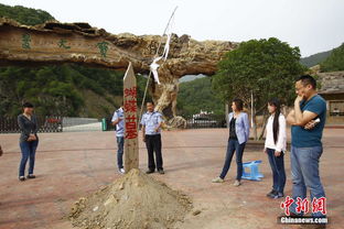 常州苏超五连败，景区却为光头免票？网友：这是什么神仙操作！