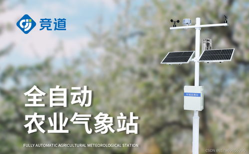 气象技术人员分析农业数据图