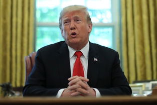 特朗普听取简报照片