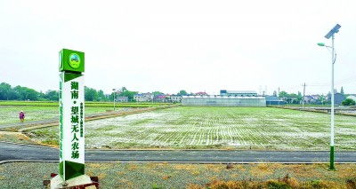 农民使用手机操控农业机械的画面