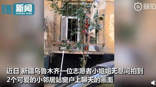 女童隔着窗户哭泣