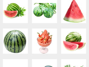 夏日西瓜清凉场景图