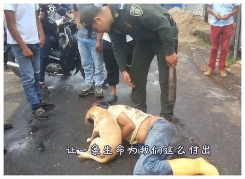 男子被狗咬伤未就医，三个月后悲剧发生！狂犬病离我们有多远？