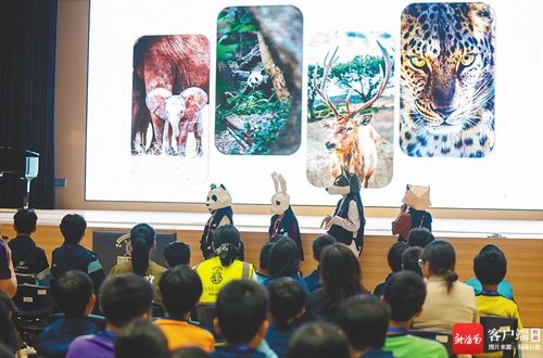 校园动物保护志愿活动