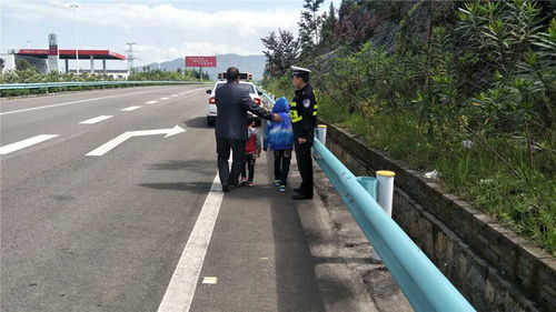 男子嫌返程机票贵，从湖南偷车一路开到辽宁！8辆车开到没油就换