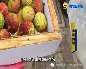 荔枝保鲜方法展示图