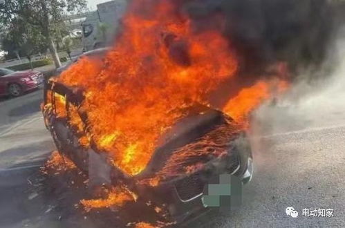 理想MEGA被指自燃事件发酵，相关人士回应引热议！真相到底如何？