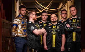 VIT战队庆祝胜利瞬间