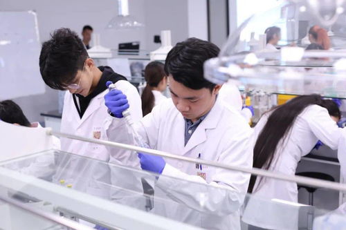 学生在实验室进行科研实验