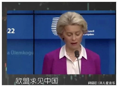 中俄高层会谈现场