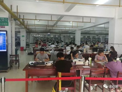 学生在图书馆认真学习