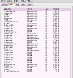 电脑中毒时的任务管理器截图