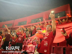 球迷在看台上挥舞旗帜欢呼