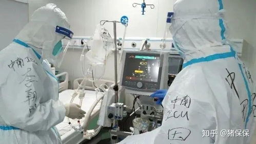 2.8万元跨省救护车转运事件背后：ECMO服务为何突然被拒接？