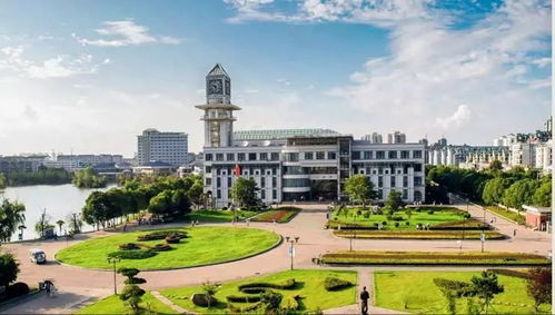 中南财大副教授遇害事件：悲剧背后的心理与社会反思