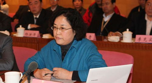 网络评论区热议清华院长身份造假事件