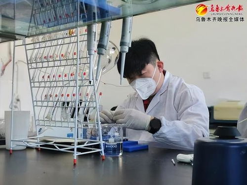 AI研究员在实验室测试Perplexity模型性能