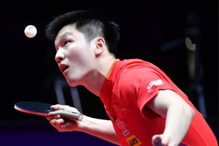 宿迁队胡颢瑀和樊振东撞脸事件引发热议，网友：这不是同一个模子刻的？