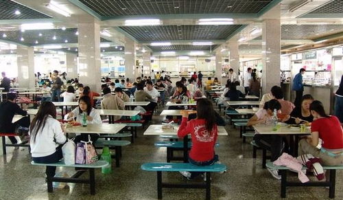 围观韦东奕当休矣？别让流量吞噬学术净土