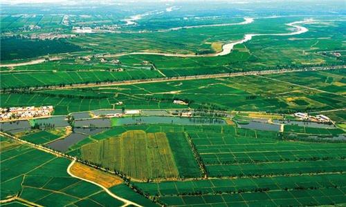 黄河沿岸农田灌溉实景图