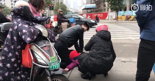 亲身经历讲述：现代版农夫与蛇，我到底错在哪？