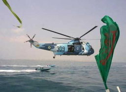 伊朗海军演习画面